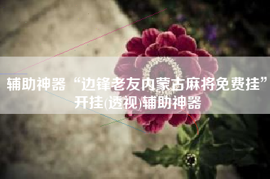 辅助神器“边锋老友内蒙古麻将免费挂”开挂(透视)辅助神器