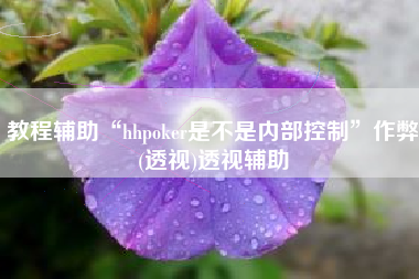 教程辅助“hhpoker是不是内部控制”作弊(透视)透视辅助