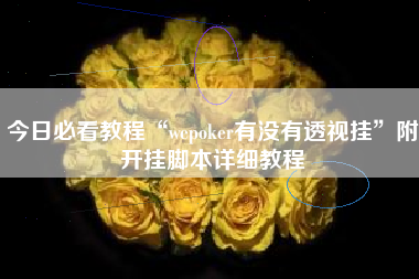 今日必看教程“wepoker有没有透视挂	”附开挂脚本详细教程