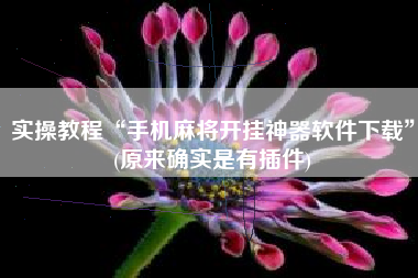 实操教程“手机麻将开挂神器软件下载”(原来确实是有插件)