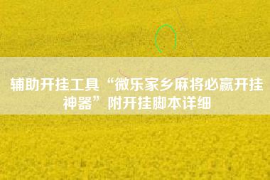 辅助开挂工具“微乐家乡麻将必赢开挂神器”附开挂脚本详细