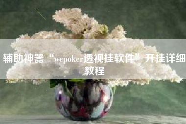 辅助神器“wepoker透视挂软件”开挂详细教程