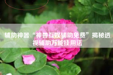 辅助神器“神兽互娱辅助免费”揭秘透视辅助万能挂用法