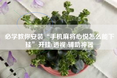 必学教你安装“手机麻将心悦怎么能下挂	”开挂(透视)辅助神器