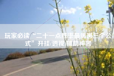 玩家必读“二十一点胜率最厉害三个公式	”开挂(透视)辅助神器