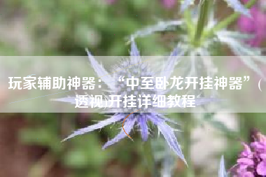 玩家辅助神器：“中至卧龙开挂神器”(透视)开挂详细教程
