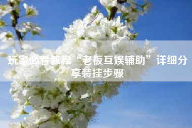 玩家必看教程“老板互娱辅助	”详细分享装挂步骤