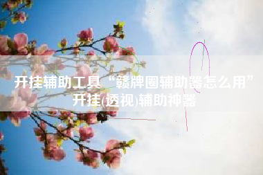 开挂辅助工具“赣牌圈辅助器怎么用	”开挂(透视)辅助神器