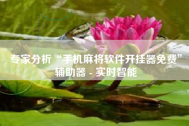 专家分析“手机麻将软件开挂器免费	”辅助器 - 实时智能