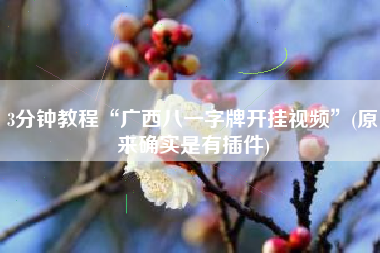 3分钟教程“广西八一字牌开挂视频	”(原来确实是有插件)