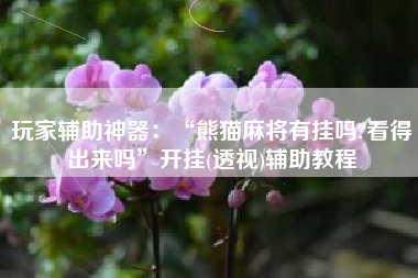 玩家辅助神器：“熊猫麻将有挂吗?看得出来吗	”开挂(透视)辅助教程