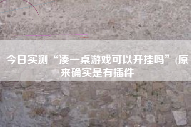 今日实测“凑一桌游戏可以开挂吗”(原来确实是有插件