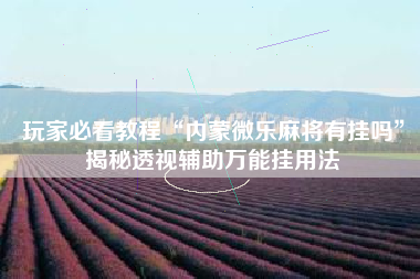 玩家必看教程“内蒙微乐麻将有挂吗”揭秘透视辅助万能挂用法