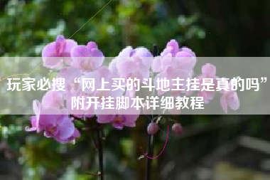 玩家必搜“网上买的斗地主挂是真的吗	”附开挂脚本详细教程