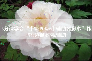 3分钟学会“【WePOKer】辅助器脚本”作弊(透视)透视辅助