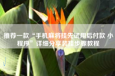 推荐一款“手机麻将挂先试用后付款 小程序”详细分享装挂步骤教程