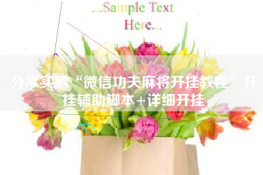 分享实测“微信功夫麻将开挂教程”开挂辅助脚本+详细开挂