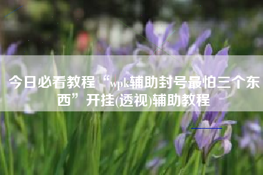 今日必看教程“wpk辅助封号最怕三个东西”开挂(透视)辅助教程