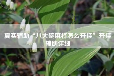 真实辅助“八大碗麻将怎么开挂	”开挂辅助详细