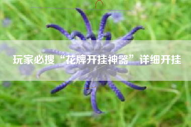 玩家必搜“花牌开挂神器	”详细开挂