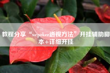 教程分享“wepoker透视方法	”开挂辅助脚本+详细开挂
