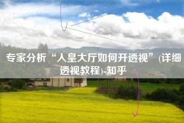 专家分析“人皇大厅如何开透视	”(详细透视教程)-知乎