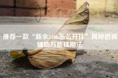 推荐一款“新余510k怎么开挂”揭秘透视辅助万能挂用法