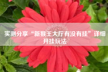 实测分享“新猴王大厅有没有挂”详细开挂玩法