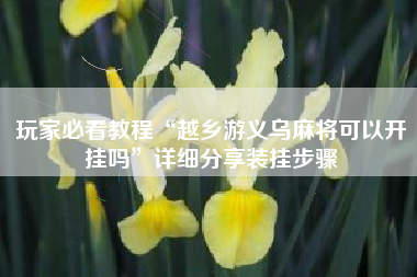 玩家必看教程“越乡游义乌麻将可以开挂吗”详细分享装挂步骤