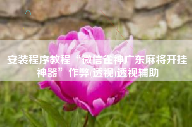 安装程序教程“微信雀神广东麻将开挂神器”作弊(透视)透视辅助