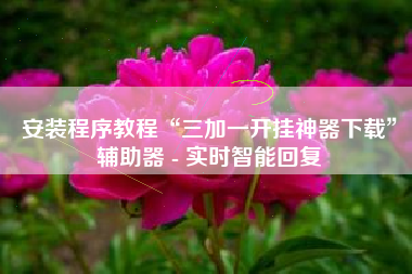安装程序教程“三加一开挂神器下载	”辅助器 - 实时智能回复