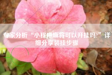 专家分析“小程序麻将可以开挂吗?	”详细分享装挂步骤