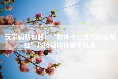玩家辅助神器：“财神十三张万能辅助挂	”科技辅助神器手机版