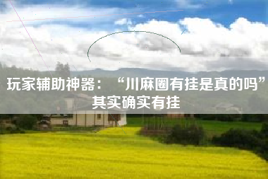 玩家辅助神器：“川麻圈有挂是真的吗”其实确实有挂