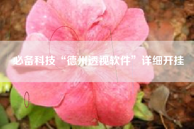 必备科技“德州透视软件”详细开挂