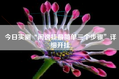 今日实测“闲逸挂最简单三个步骤	”详细开挂