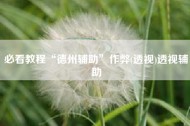 必看教程“德州辅助”作弊(透视)透视辅助