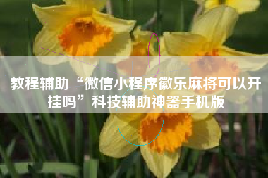 教程辅助“微信小程序徽乐麻将可以开挂吗”科技辅助神器手机版