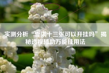 实测分析“壹柒十三张可以开挂吗”揭秘透视辅助万能挂用法