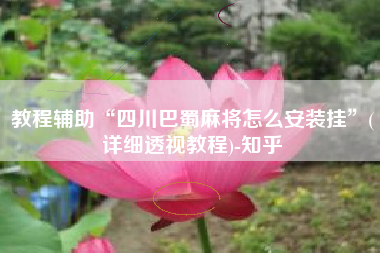 教程辅助“四川巴蜀麻将怎么安装挂”(详细透视教程)-知乎