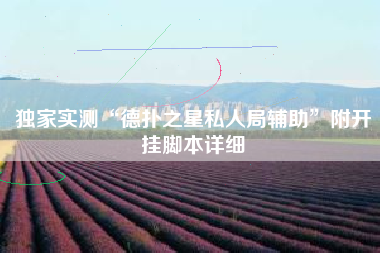 独家实测“德扑之星私人局辅助”附开挂脚本详细