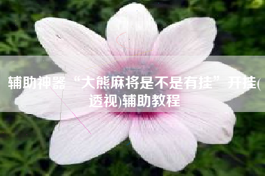 辅助神器“大熊麻将是不是有挂	”开挂(透视)辅助教程