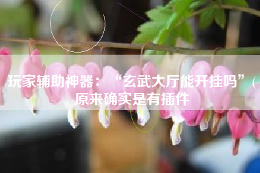 玩家辅助神器：“玄武大厅能开挂吗”(原来确实是有插件