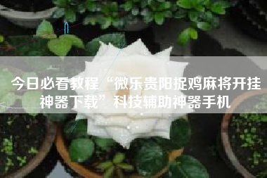 今日必看教程“微乐贵阳捉鸡麻将开挂神器下载”科技辅助神器手机