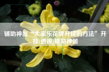 辅助神器“大家乐花牌开挂的方法”开挂(透视)辅助神器