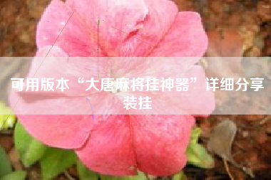 可用版本“大唐麻将挂神器”详细分享装挂