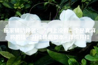 玩家辅助神器：“网上没有一个是真麻将的挂”开挂辅助脚本+详细开挂