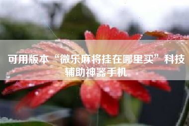 可用版本“微乐麻将挂在哪里买	”科技辅助神器手机