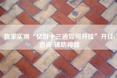 独家实测“忆游十三道如何开挂	”开挂(透视)辅助神器