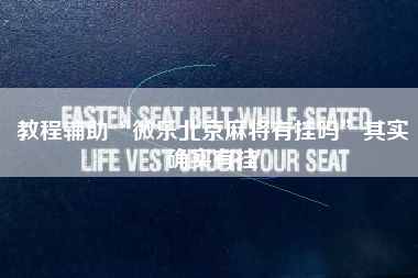 教程辅助“微乐北京麻将有挂吗”其实确实有挂